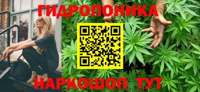 ECSTASY Новодвинск