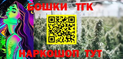 ECSTASY Новодвинск