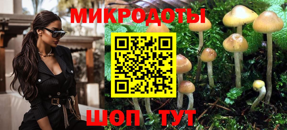 Галлюциногенные грибы GOLDEN TEACHER Санкт-Петербург