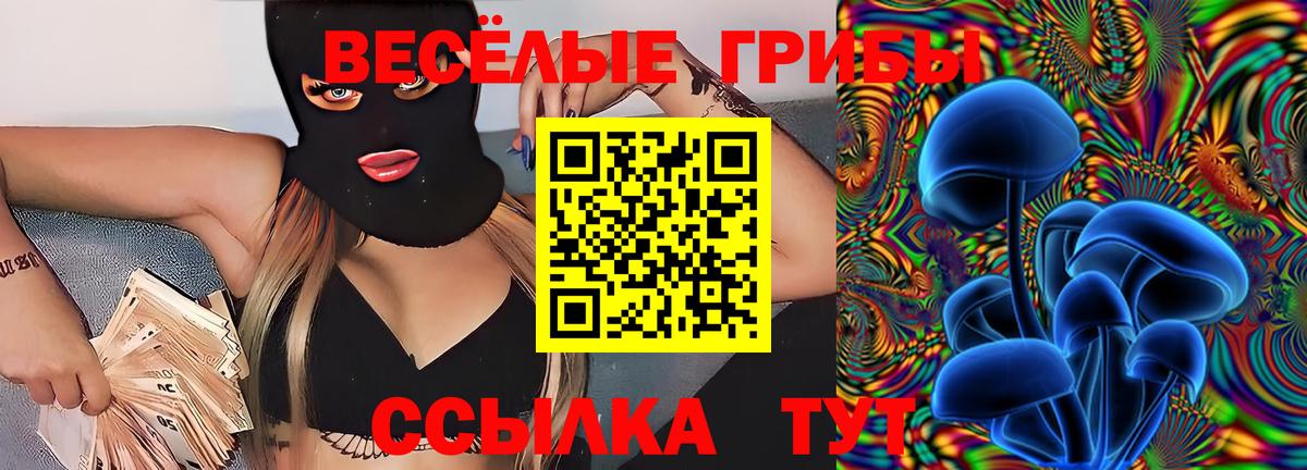 где продают   Галлюциногенные грибы мухоморы  Вход с VPN  Санкт-Петербург 